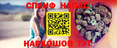 хмурый Дубна