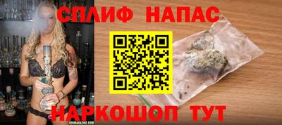 хмурый Дубна