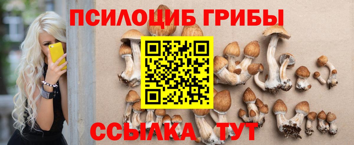 Псилоцибиновые грибы Psilocybe  Вход с VPN  наркотики  Майский 